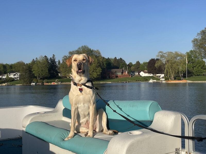 Cora on the lake